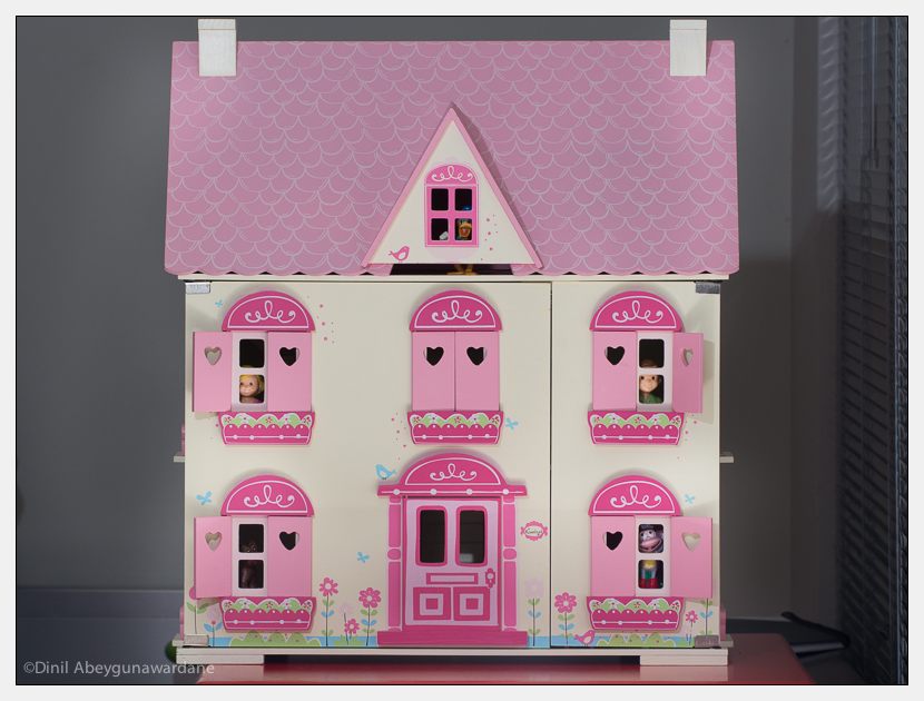 dollhouse-olympus-75-300-panasonic-100-300