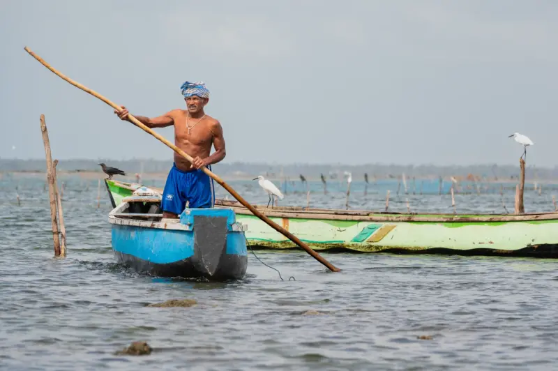 A bear chested fisherman in a skiff, paddling his boat with a stick in the Jaffna Lagoon, with egrets in the background - Jaffna, Sri Lanka
